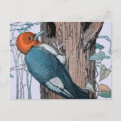 ヴィンテージ赤毛木 ポストカード (正面)