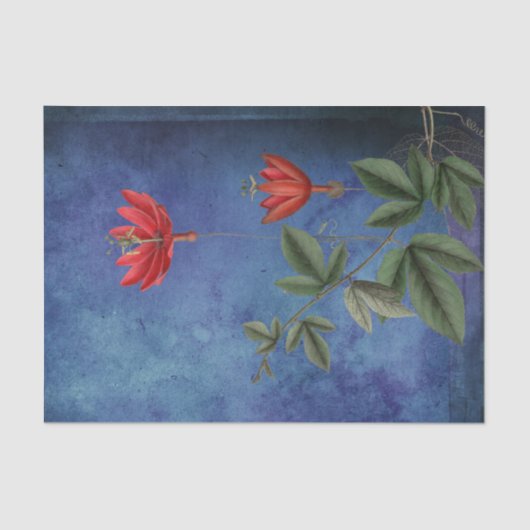 ヴィンテージ赤熱帯花 薄葉紙 (正面)