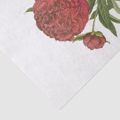 ヴィンテージ赤牡丹牡丹#1花フローラ 薄葉紙 (詳細)
