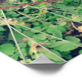 ヴィンテージ赤自転車ポスター ポスター (角)