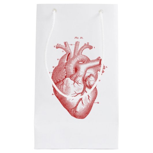 ヴィンテージ赤解剖学的ハート小抱き枕 スモールペーパーバッグ (正面)