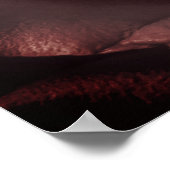 ヴィンテージ赤面バラ ポスター (角)