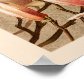 ヴィンテージ赤面マグノリアス ポスター (角)