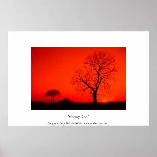 ヴィンテージ赤 ポスター (正面)