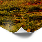 ヴィンテージ車の完璧なポスター |フィアット500 |イタリアのローマ ポスター (コーナー)