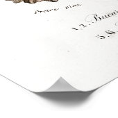 ヴィンテージ軟体動物イラストレーション ポスター (角)