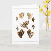 ヴィンテージ軟体動物カタツムリ、海洋生物 カード (黄色い花)