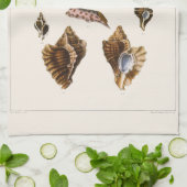 ヴィンテージ軟体動物カタツムリ、海洋生物 キッチンタオル (折り畳み)