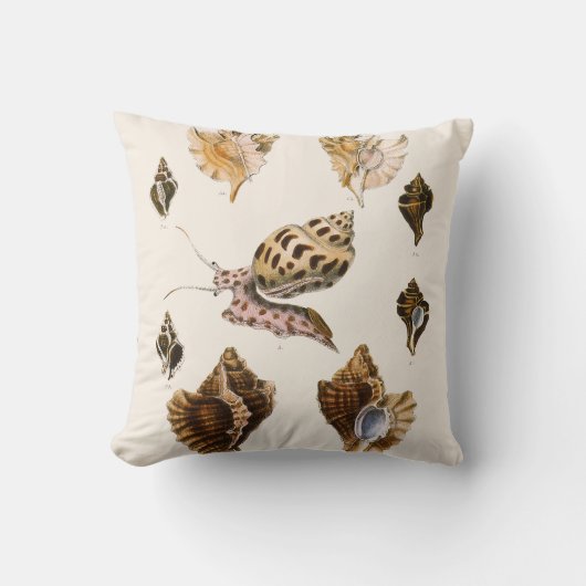 ヴィンテージ軟体動物カタツムリ、海洋生物 クッション (正面)