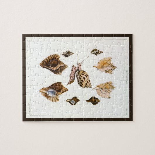 ヴィンテージ軟体動物カタツムリ、海洋生物 ジグソーパズル (横)