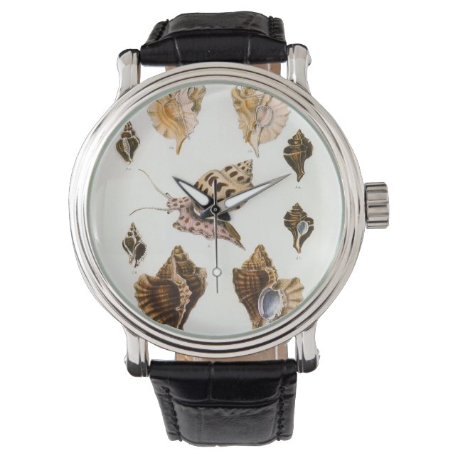 ヴィンテージ軟体動物カタツムリ、海洋生物 腕時計 (正面)