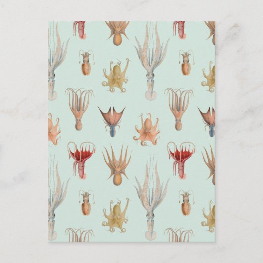 ヴィンテージ軟体動物（青） ポストカード (正面)