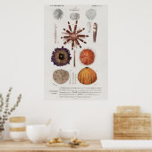 ヴィンテージ軟体座イラストレーション ポスター (キッチン)