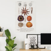 ヴィンテージ軟体座イラストレーション ポスター (ホームオフィス)