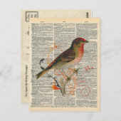 ヴィンテージ辞書かわいらしアートレッドオレンジバード ポストカード (正面/裏面)