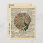 ヴィンテージ辞書アートビューティフルピーコックバード ポストカード (正面/裏面)