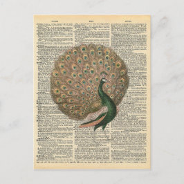 ヴィンテージ辞書アートビューティフルピーコックバード ポストカード