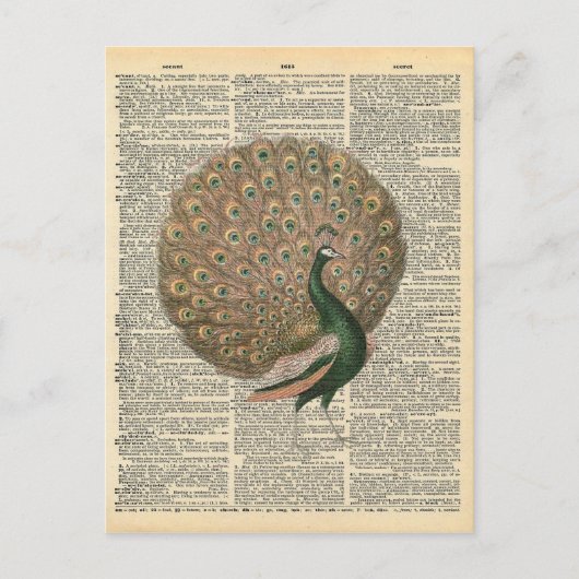 ヴィンテージ辞書アートビューティフルピーコックバード ポストカード (正面)