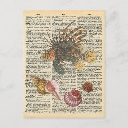 ヴィンテージ辞書アートライオンフィッシュ&ビーチシェル ポストカード (正面)