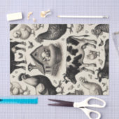 ヴィンテージ農園絵画動物 薄葉紙