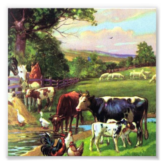 ヴィンテージ農場 フォトプリント            (正面)