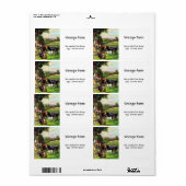 ヴィンテージ農場 ラベル (フルシート)