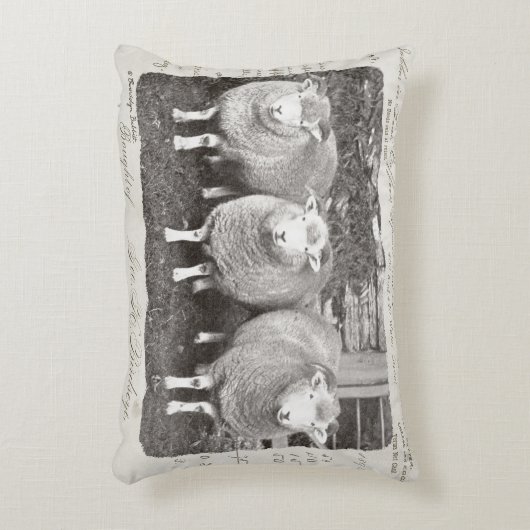 ヴィンテージ農家の羊の枕クリーム&グレー。 アクセントクッション (正面(垂直))