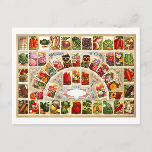 ヴィンテージ農産物・花種広告 ポストカード (正面)
