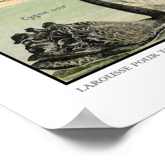 ヴィンテージ農畜産ヴィンテージ科学教育 ポスター (角)