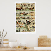 ヴィンテージ農畜産ヴィンテージ科学教育 ポスター (キッチン)