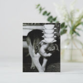 ヴィンテージ運犬のカップとソーサーを鼻に ポストカード (スタンド正面)