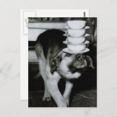 ヴィンテージ運犬のカップとソーサーを鼻に ポストカード (正面/裏面)