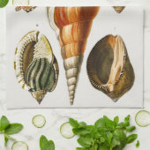 ヴィンテージ違うの貝殻 キッチンタオル (折り畳み)