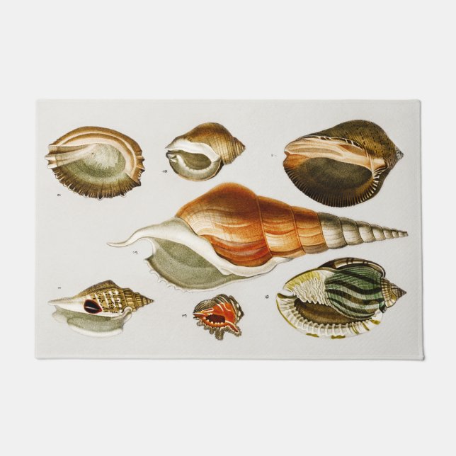 ヴィンテージ違う型軟体動物殻  ドアマット (正面)