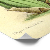 ヴィンテージ酸無柄オーキッドフラワー ポスター (角)