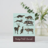 ヴィンテージ野生動物はがき ポストカード (スタンド正面)