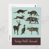 ヴィンテージ野生動物はがき ポストカード (正面/裏面)