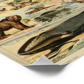 ヴィンテージ野生動物イラストレーション ポスター (角)