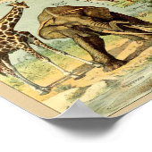 ヴィンテージ野生動物イラストレーション ポスター (角)