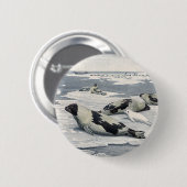 ヴィンテージ野生動物，アルティハーバーシールアイスベルグ 缶バッジ (正面&裏面)