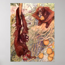 ヴィンテージ野生動物,オランウータンス著Louis Sargent ポスター