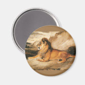 ヴィンテージ野生動物,サバンナのアフリカライオン マグネット (正面/裏面)