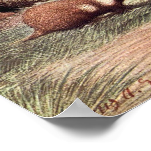 ヴィンテージ野生動物、ハムスターズバイルイ・サージェント ポスター (角)