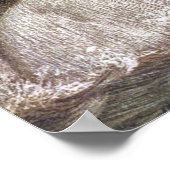 ヴィンテージ野生動物、北極熊ルイ・サージェント ポスター (角)