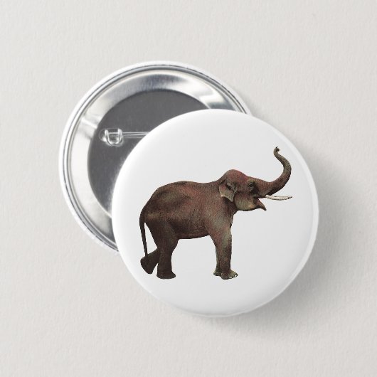 ヴィンテージ野生動物，幸運アジア象 缶バッジ (正面&裏面)