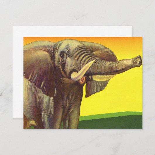 ヴィンテージ野生動物，日の入ったアフリカゾウ (正面/裏面)