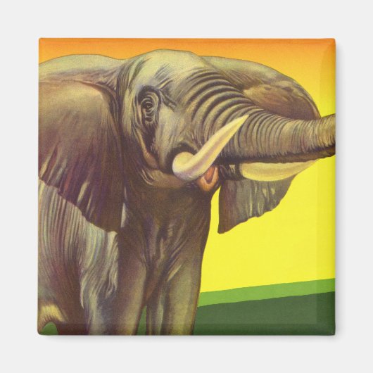 ヴィンテージ野生動物,日の入ったアフリカゾウ マグネット (正面)