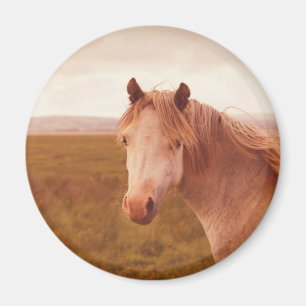 ヴィンテージ野生馬 マグネット