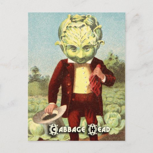 ヴィンテージ野菜はがきシリーズ:キャベツ ポストカード (正面)