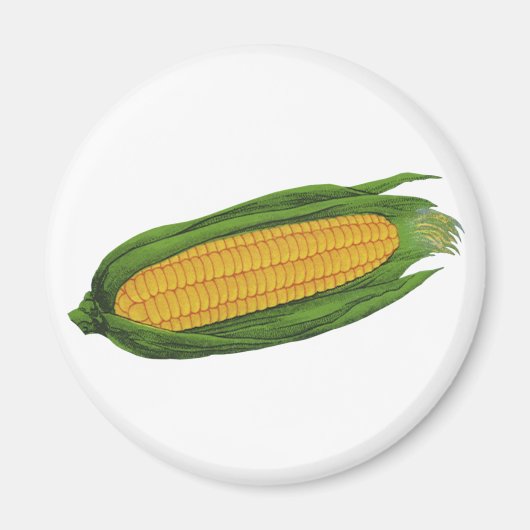 ヴィンテージ野菜イエローコーンオンザコブ マグネット (正面)